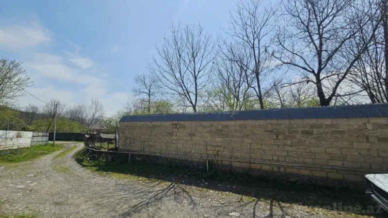 Satılır Torpaq 8 sot Qəbələ - şəkil 3
