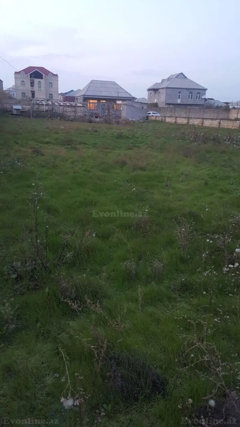 Satılır Torpaq 10 sot Qala - şəkil 5