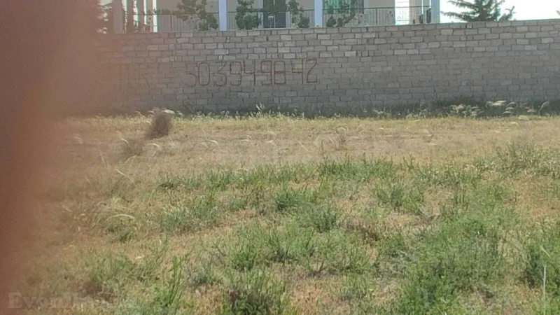 Torpaq Türkan Satılır