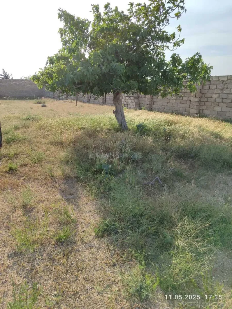 Satılır Torpaq 12 sot Türkan - şəkil 3