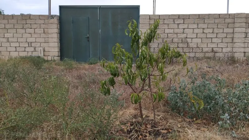 Satılır Torpaq 12 sot Xudat