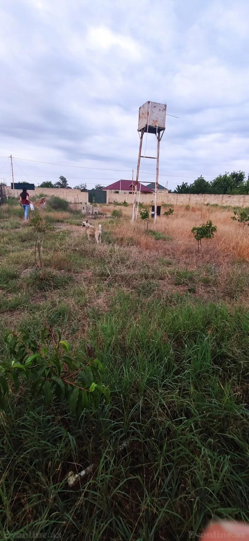 Satılır Torpaq 12 sot Xudat - şəkil 6