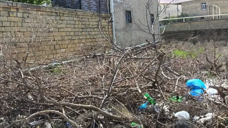 Satılır Torpaq 3 sot Masazır - şəkil 2