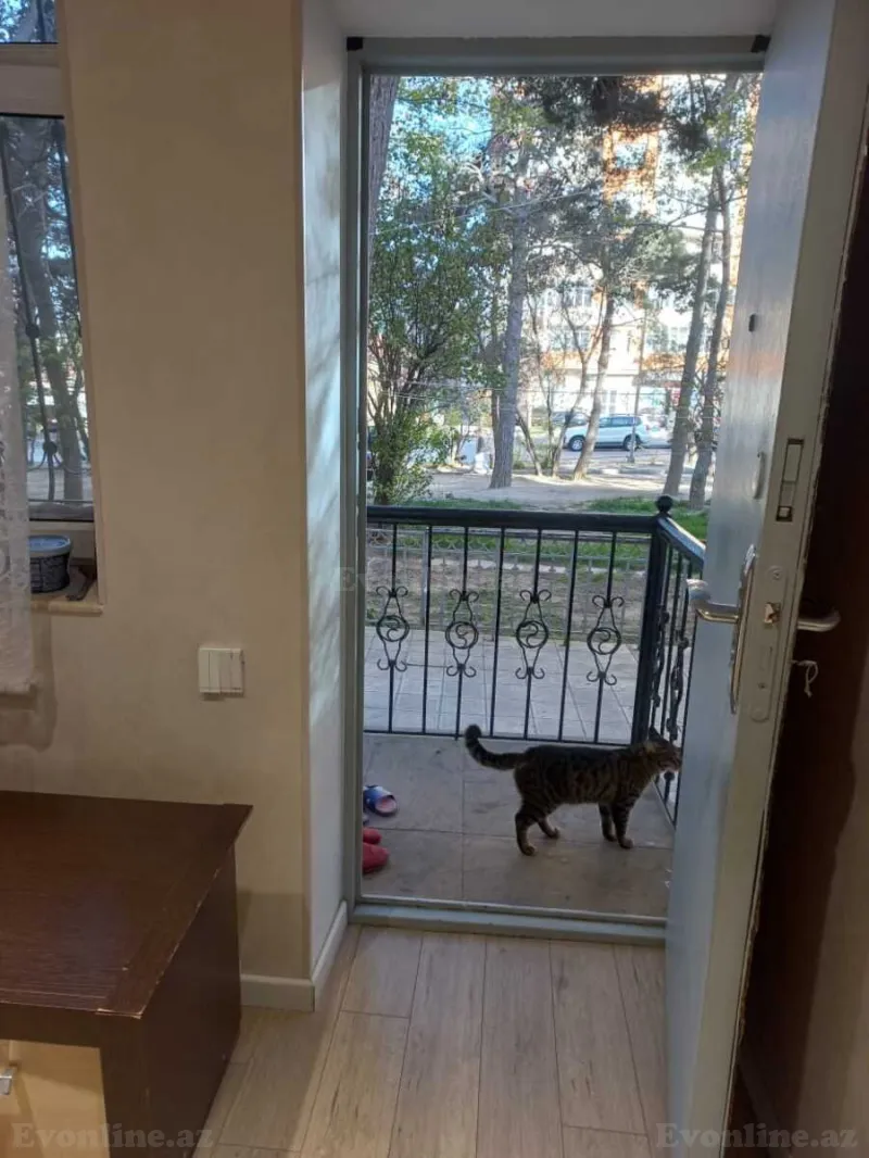 Satılır 3 otaqlı Mənzil Köhnə tikili 69 m² 1-ci mikrorayon - şəkil 9