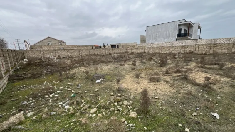 Torpaq Şüvəlan Satılır