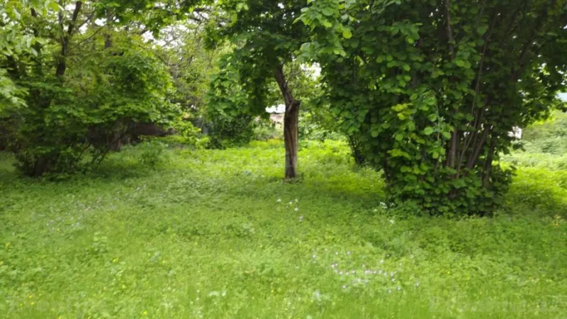 Satılır Torpaq 5 sot Oğuz - şəkil 2