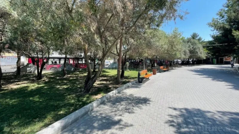 2 otaqlı Mənzil 55 m² Yeni Yasamal Satılır