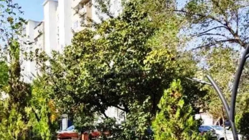 3 otaqlı Mənzil 75 m² Sabunçu r. Satılır