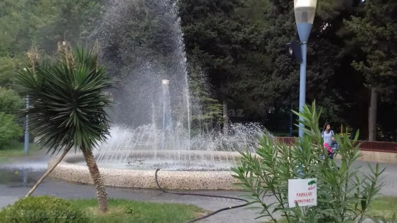 Satılır 2 otaqlı Mənzil Köhnə tikili 43 m² 8-ci mikrorayon - şəkil 2