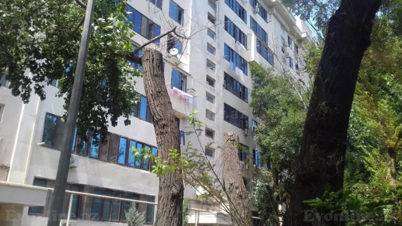 Satılır 2 otaqlı Mənzil Köhnə tikili 43 m² 8-ci mikrorayon - şəkil 14