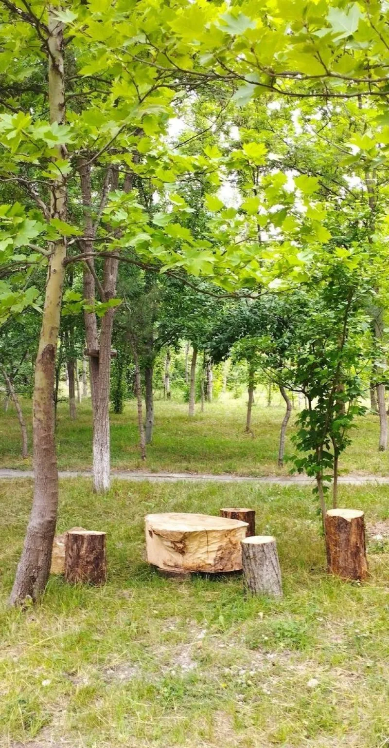 Satılır Torpaq 200 sot Qusar - şəkil 2