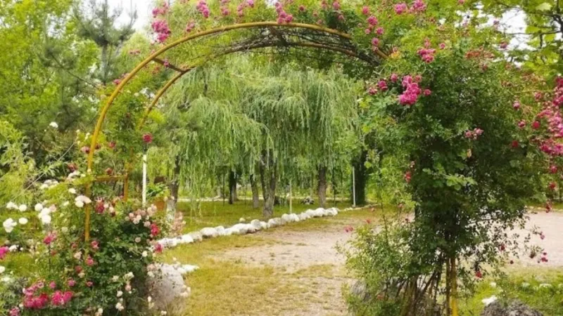 Satılır Torpaq 200 sot Qusar - şəkil 3