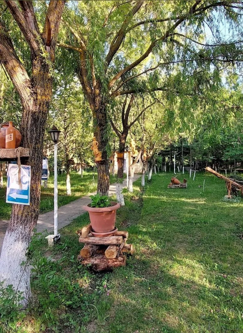 Satılır Torpaq 200 sot Qusar - şəkil 4