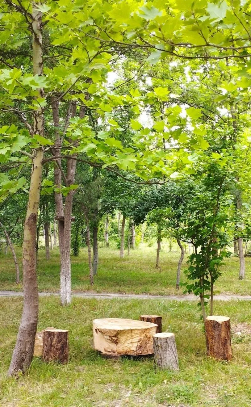 Satılır Torpaq 200 sot Qusar - şəkil 5