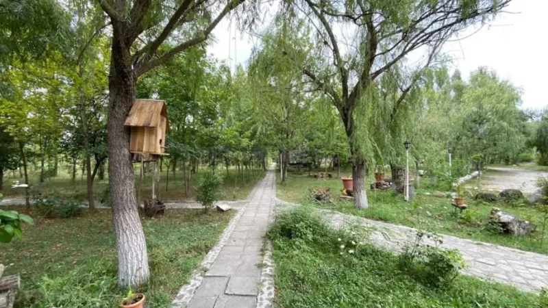 Satılır Torpaq 200 sot Qusar - şəkil 6