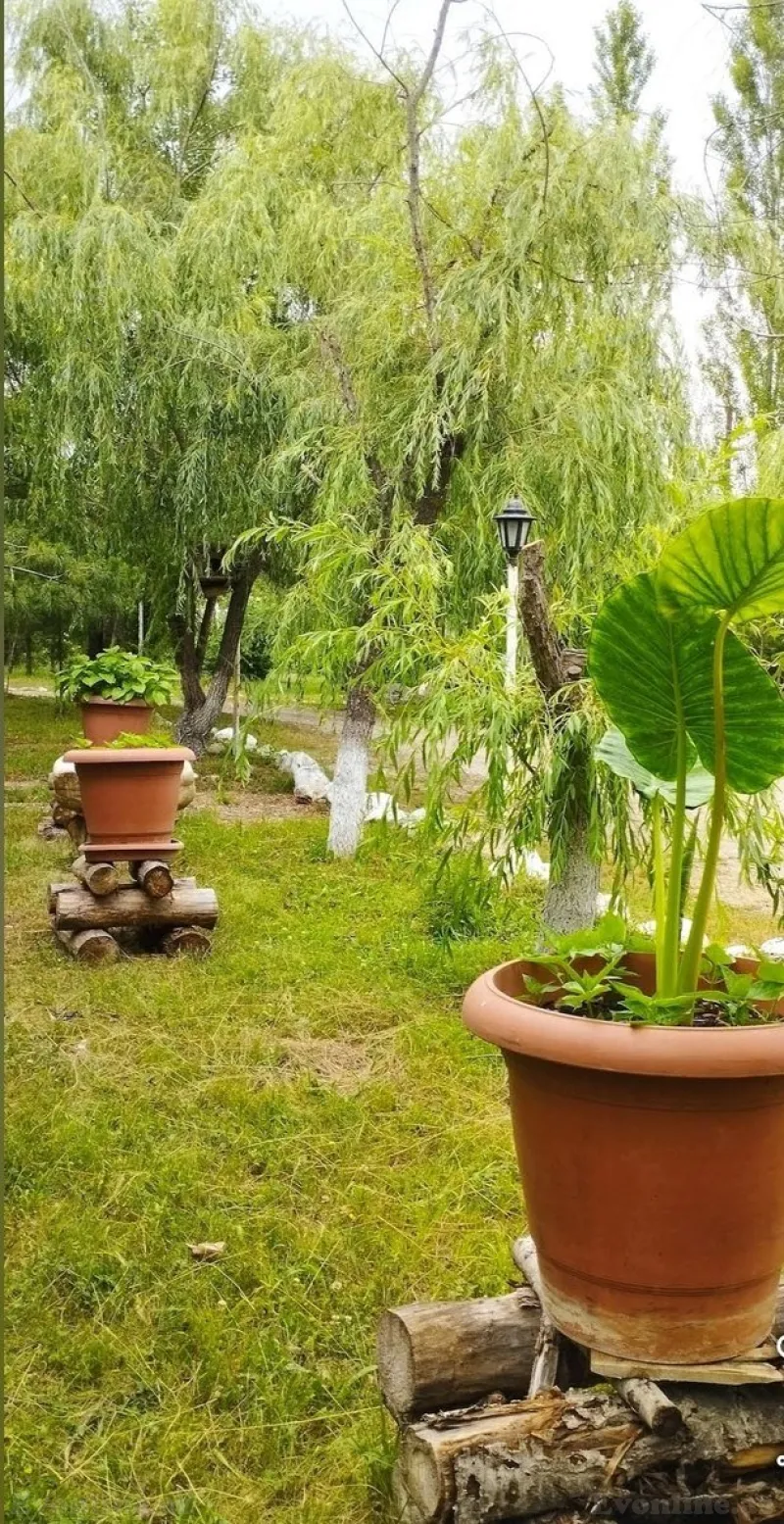 Satılır Torpaq 200 sot Qusar - şəkil 7