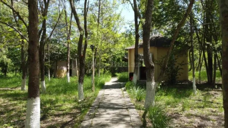 Satılır Torpaq 200 sot Qusar - şəkil 12