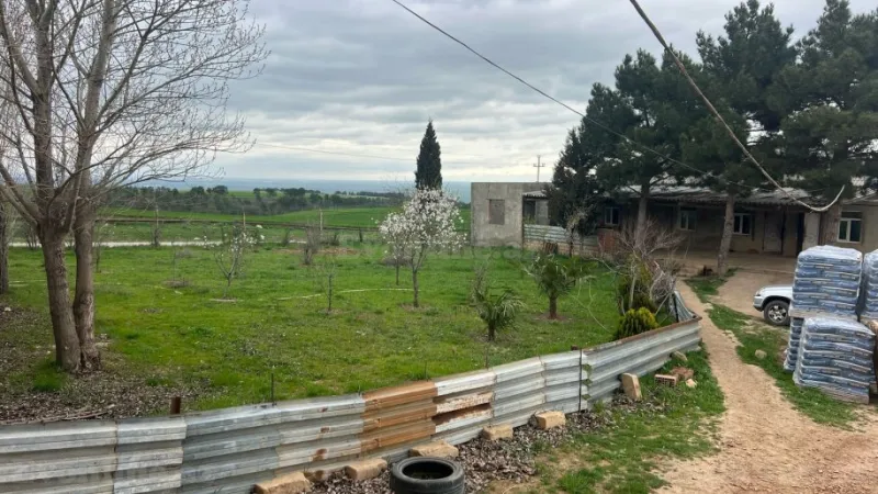 Satılır Obyekt 500000 m² Şabran