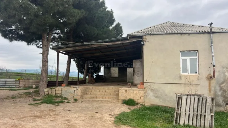 Satılır Obyekt 500000 m² Şabran - şəkil 2