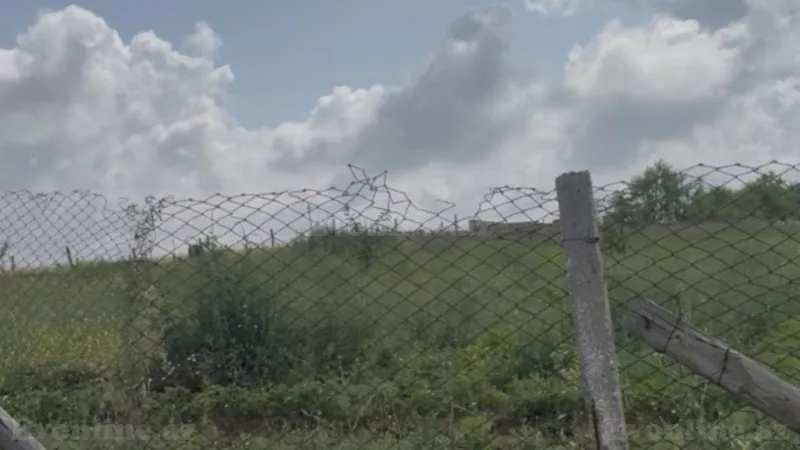 Satılır Torpaq 12 sot Şamaxı - şəkil 2