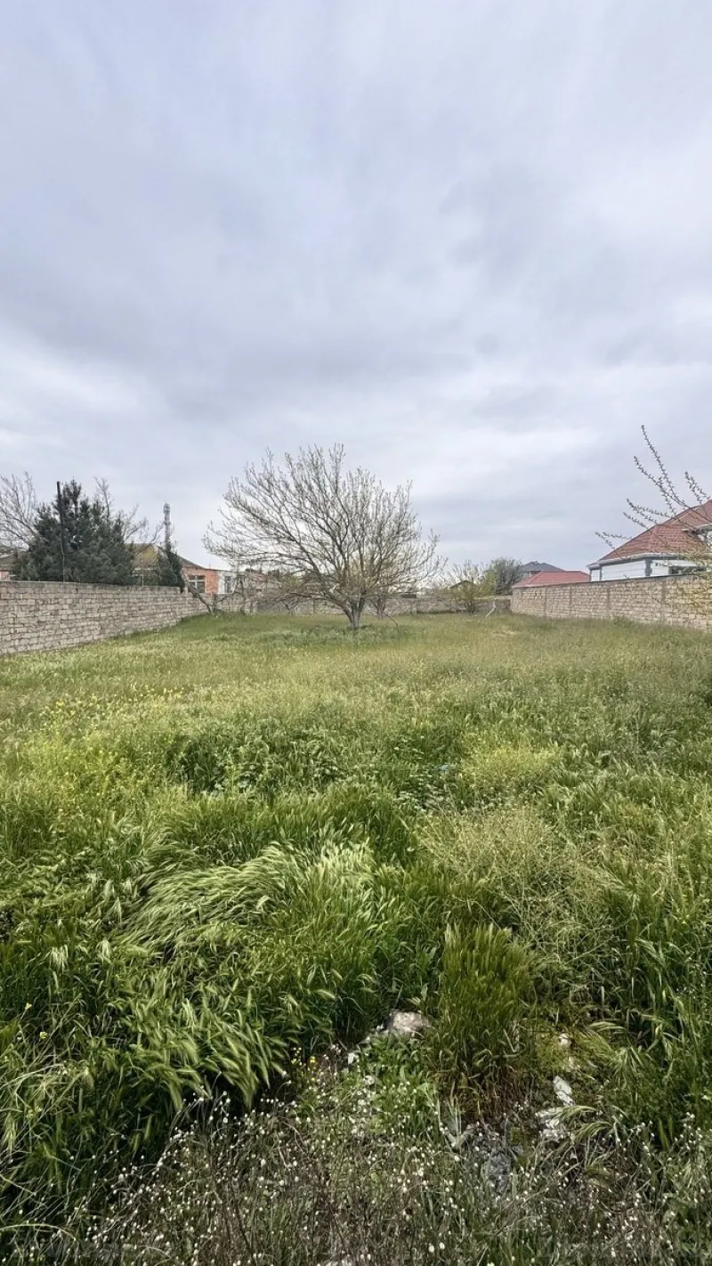 Satılır Torpaq 12 sot Nardaran - şəkil 2