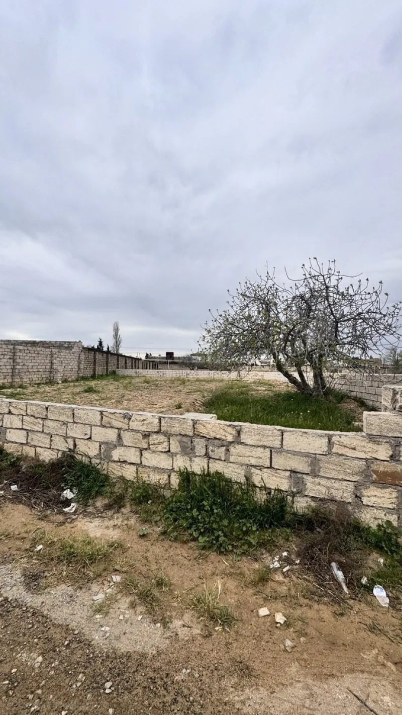 Satılır Torpaq 5 sot Nardaran - şəkil 3