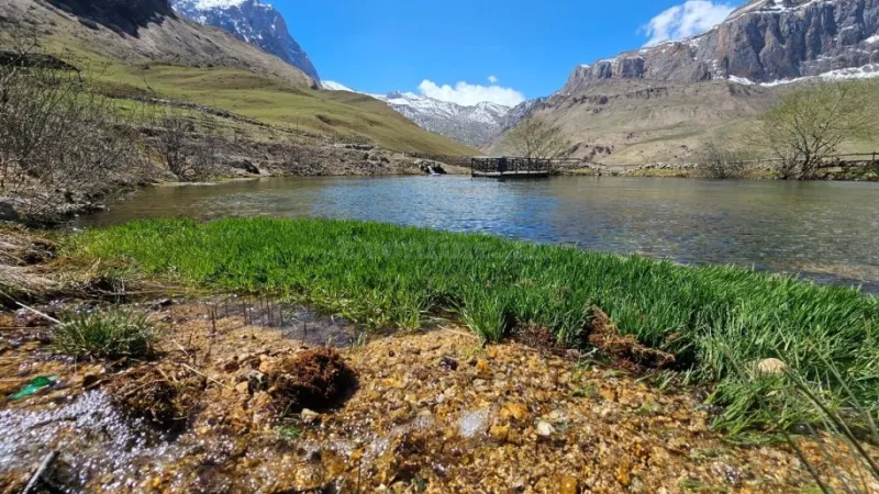 Satılır Torpaq 20 sot Qusar - şəkil 2