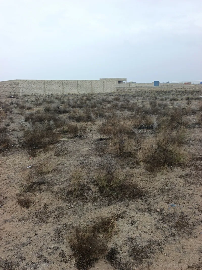 Satılır Torpaq 5.5 sot Zirə - şəkil 2