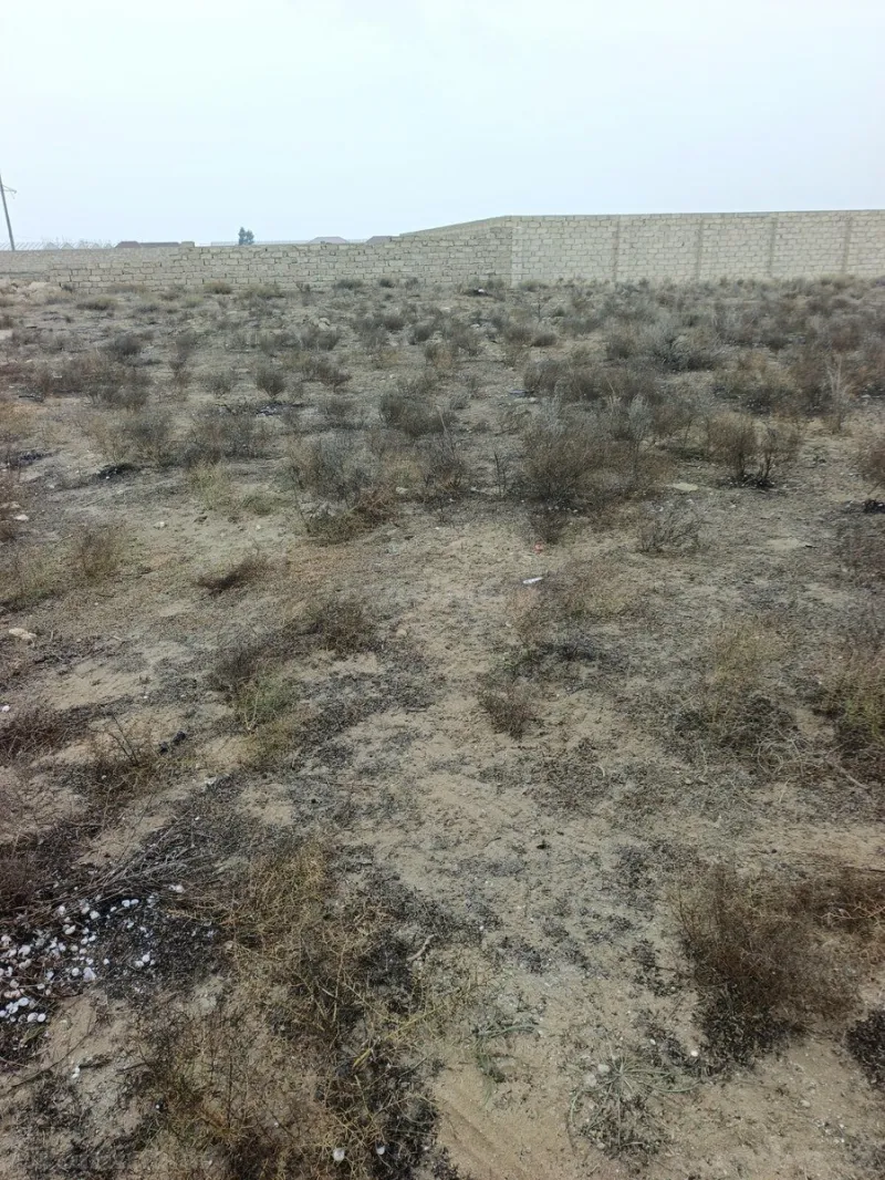 Satılır Torpaq 5.5 sot Zirə - şəkil 3