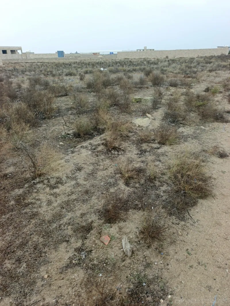 Satılır Torpaq 5.5 sot Zirə - şəkil 4