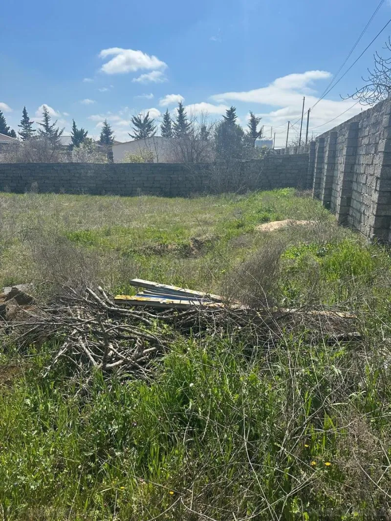 Satılır Torpaq 12 sot Bilgəh - şəkil 2