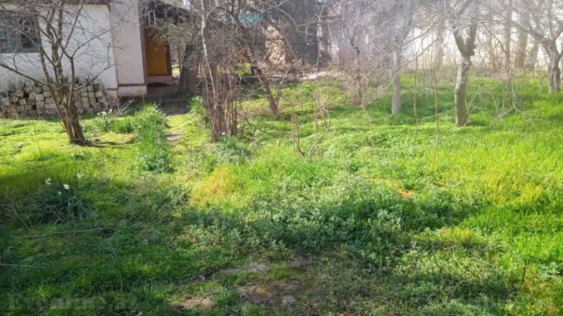 Torpaq Badamdar Satılır