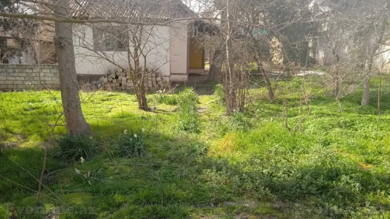 Satılır Torpaq 1.3 sot Badamdar - şəkil 3