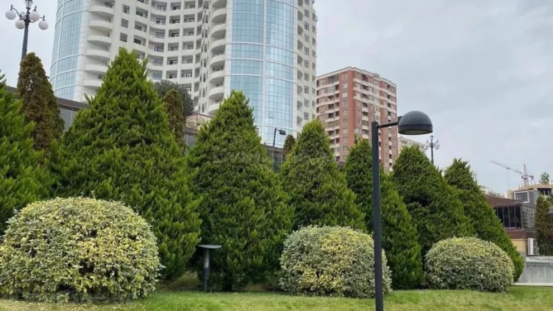 Satılır 1 otaqlı Mənzil Köhnə tikili 40 m² Elmlər Akademiyası m. - şəkil 9