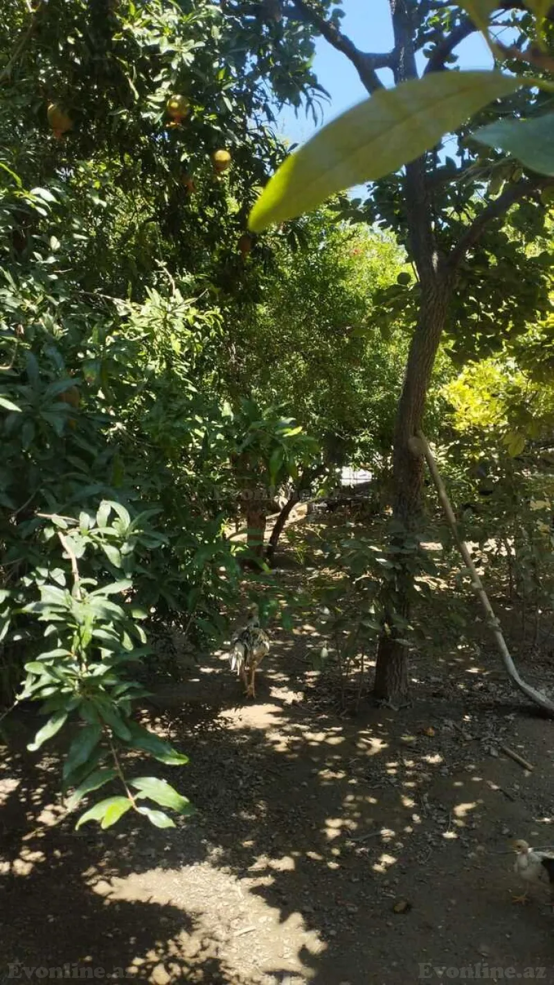 Satılır Torpaq 7.5 sot Binəqədi r. - şəkil 6