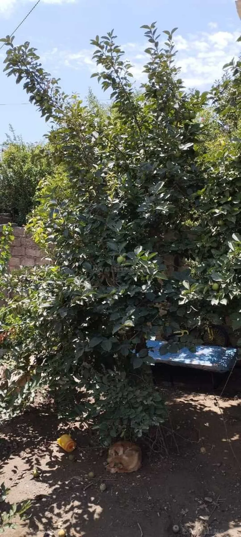 Satılır Torpaq 7.5 sot Binəqədi r. - şəkil 13