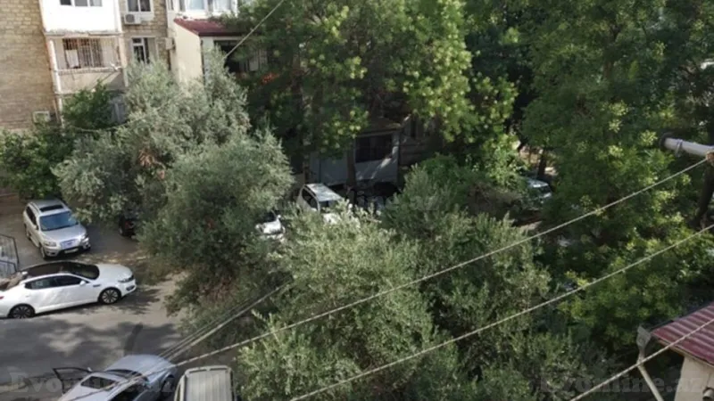 Kirayə verilir 2 otaqlı Mənzil Köhnə tikili 40 m² Gənclik m. - şəkil 5