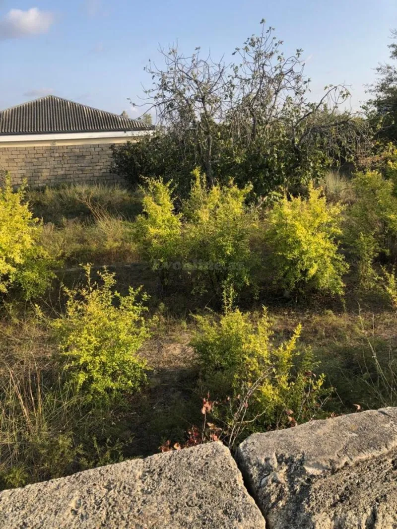 Satılır Torpaq 12 sot Nardaran - şəkil 3