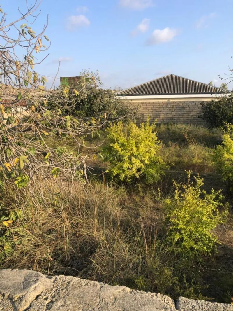 Satılır Torpaq 12 sot Nardaran - şəkil 5