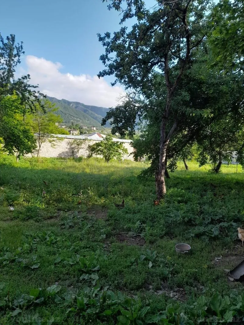 Satılır Torpaq 6 sot İsmayıllı