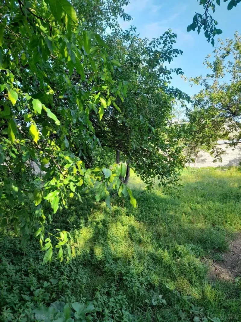 Satılır Torpaq 6 sot İsmayıllı - şəkil 2