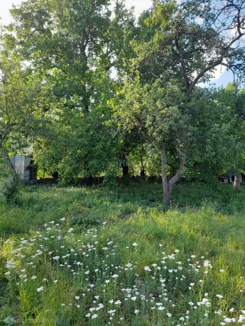 Satılır Torpaq 6 sot İsmayıllı - şəkil 3