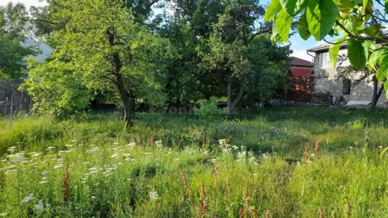 Satılır Torpaq 6 sot İsmayıllı - şəkil 4