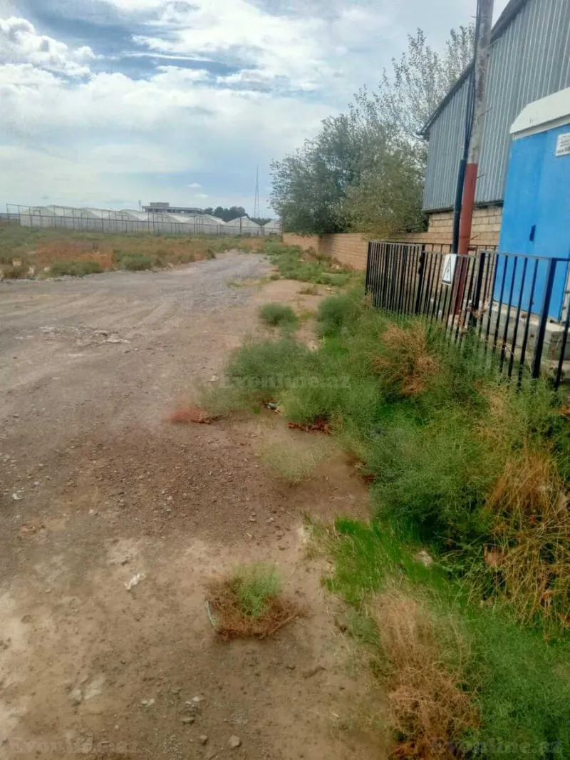 Satılır Torpaq 140 sot Şirvan - şəkil 2