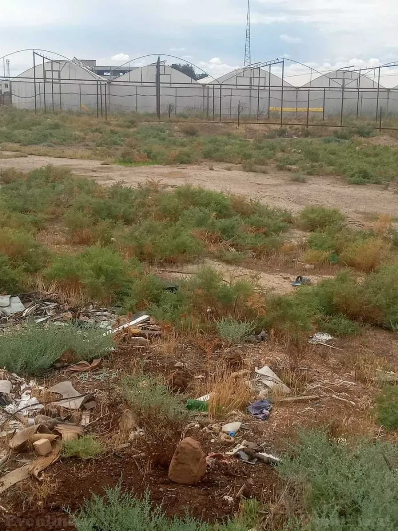 Satılır Torpaq 140 sot Şirvan - şəkil 3