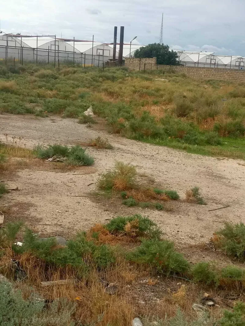 Satılır Torpaq 140 sot Şirvan - şəkil 4