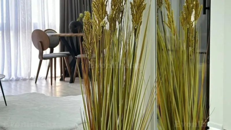 Kirayə verilir 2 otaqlı Mənzil Yeni tikili 55 m² Nəsimi r. - şəkil 23