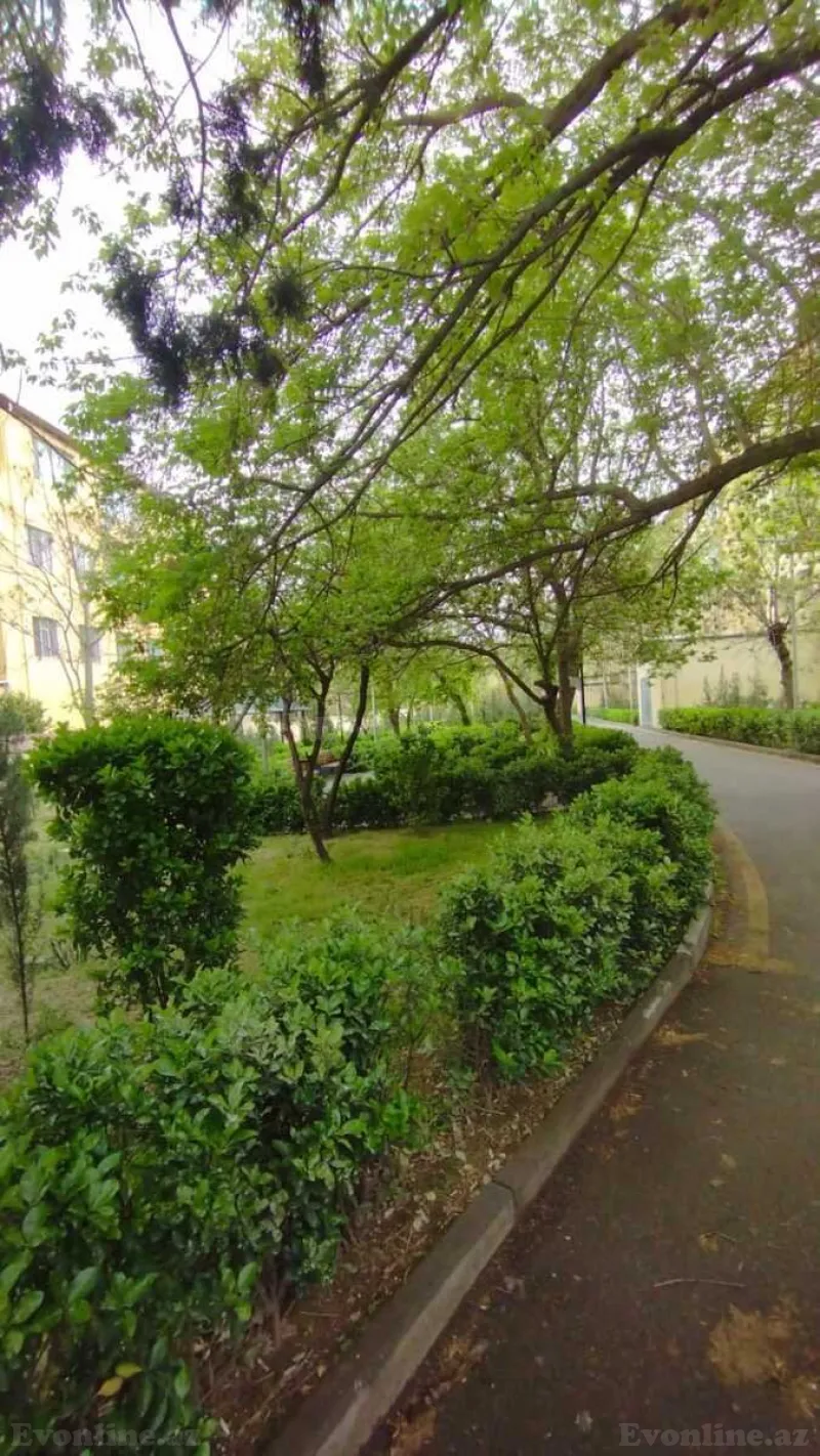 Satılır 3 otaqlı Mənzil Köhnə tikili 70 m² 7-ci mikrorayon - şəkil 23