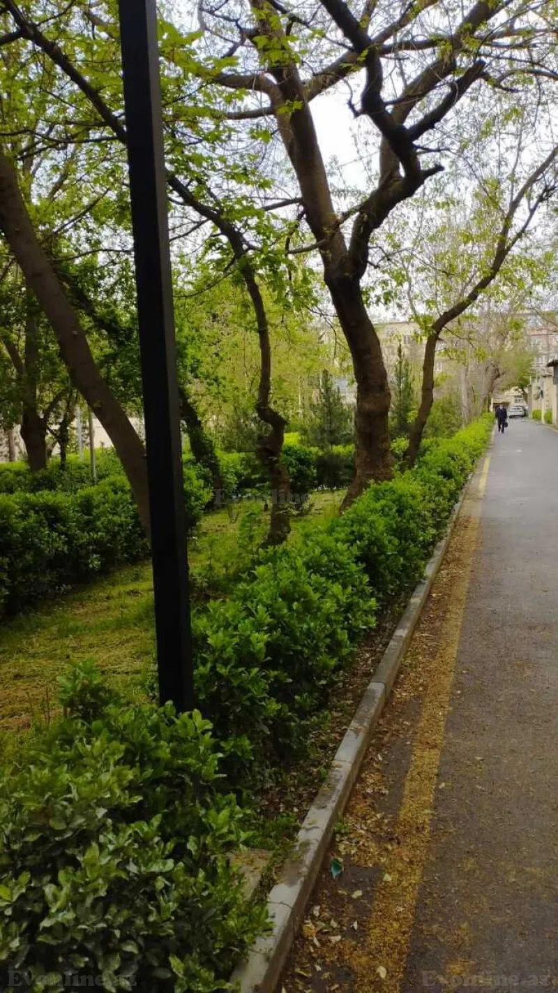 Satılır 3 otaqlı Mənzil Köhnə tikili 70 m² 7-ci mikrorayon - şəkil 26