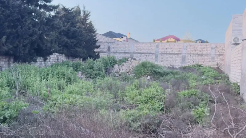 Satılır Torpaq 6 sot Xəzər r. - şəkil 5